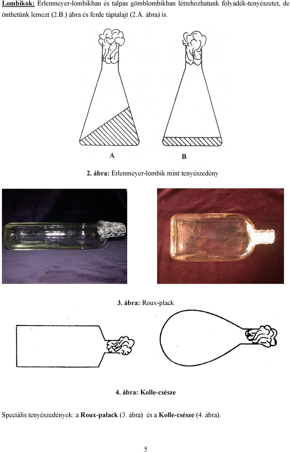 ábra) is. 2. ábra: Erlenmeyer-lombik mint tenyészedény 3. ábra: Roux-plack 4.