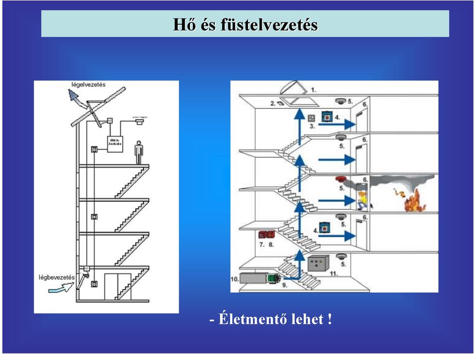 stelvezetés