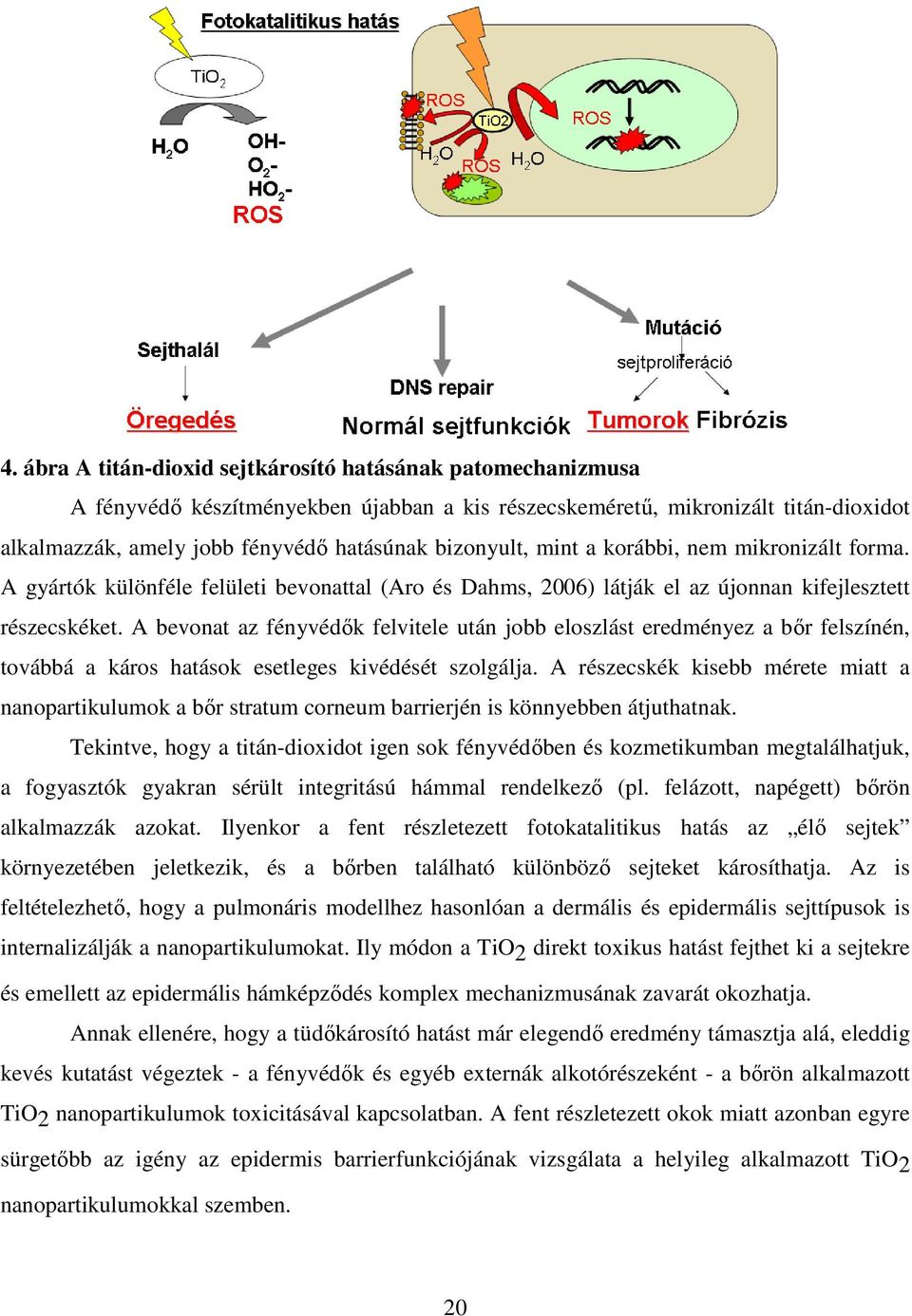 A bevonat az fényvédők felvitele után jobb eloszlást eredményez a bőr felszínén, továbbá a káros hatások esetleges kivédését szolgálja.
