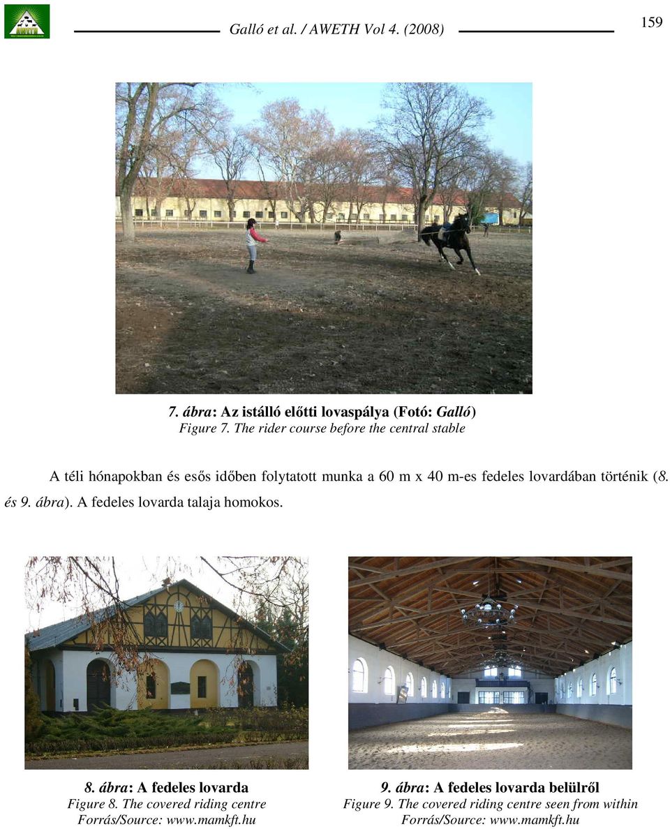 fedeles lovardában történik (8. és 9. ábra). A fedeles lovarda talaja homokos. 8. ábra: A fedeles lovarda Figure 8.