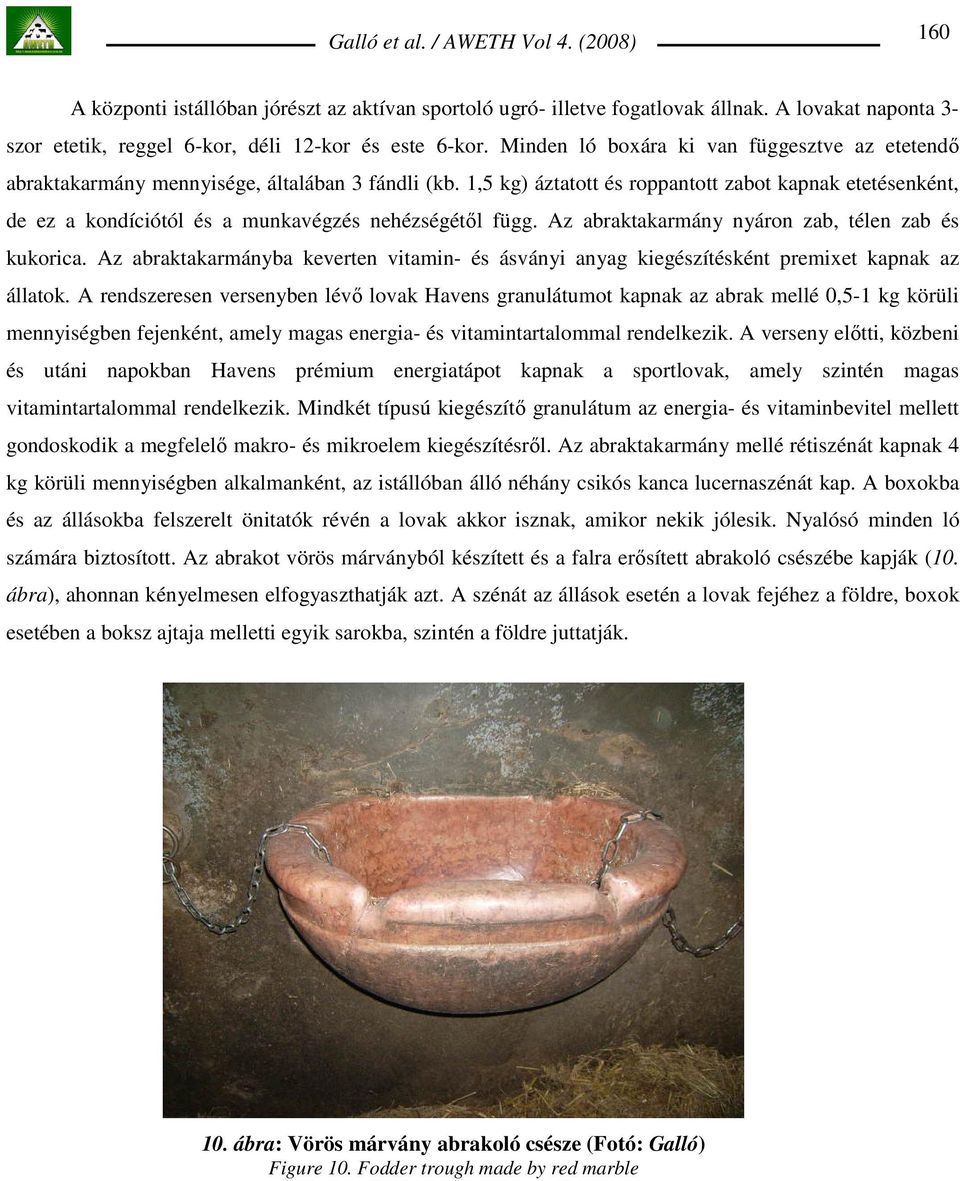 1,5 kg) áztatott és roppantott zabot kapnak etetésenként, de ez a kondíciótól és a munkavégzés nehézségétıl függ. Az abraktakarmány nyáron zab, télen zab és kukorica.