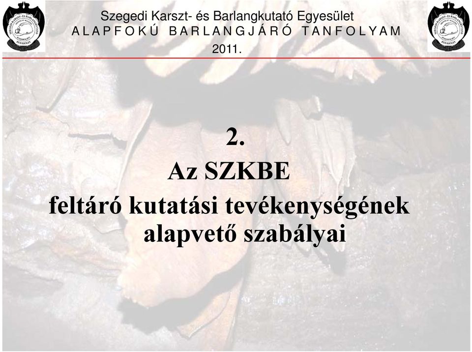 tevékenységének