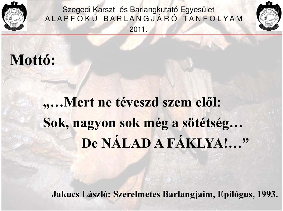 NÁLAD A FÁKLYA!