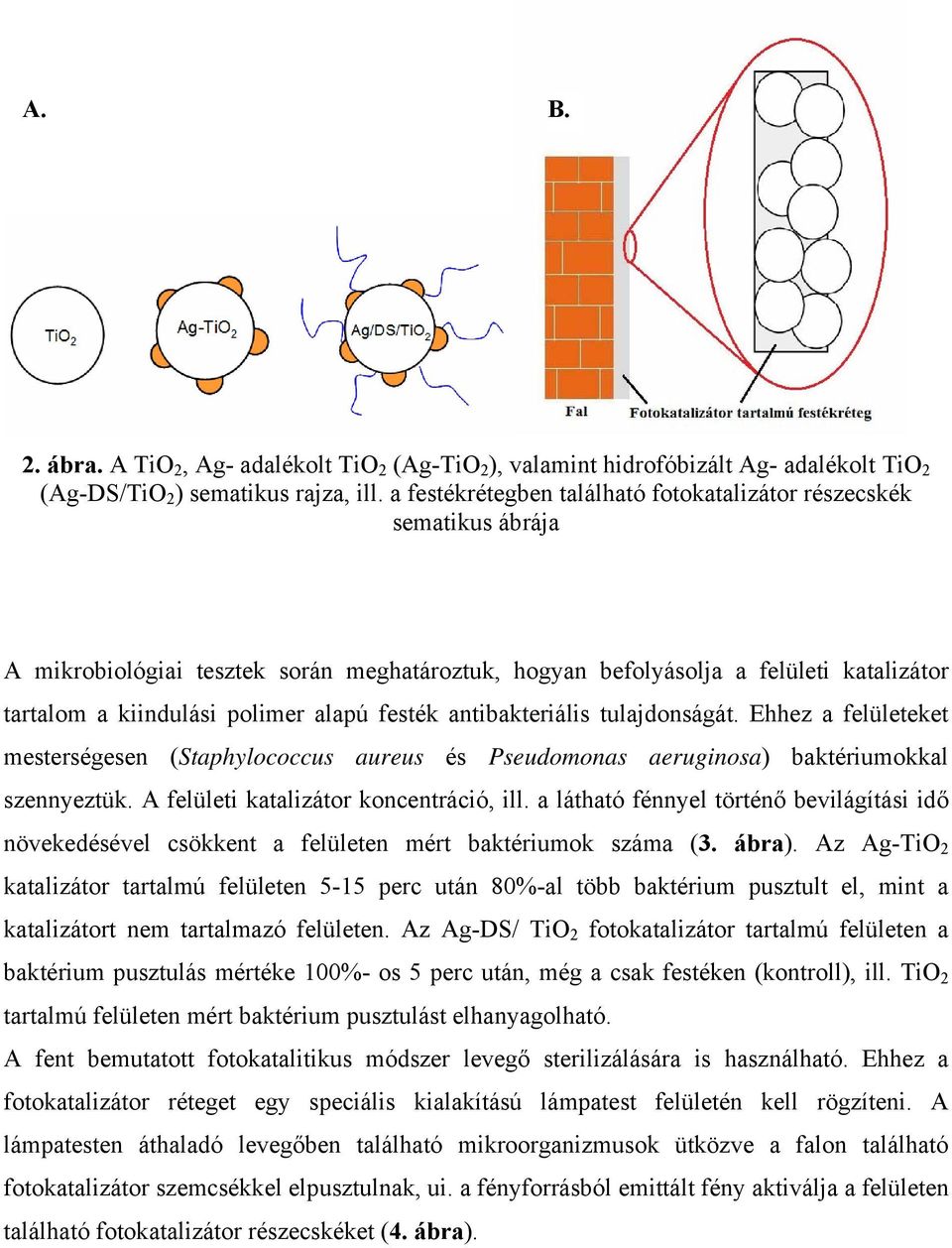 festék antibakteriális tulajdonságát. Ehhez a felületeket mesterségesen (Staphylococcus aureus és Pseudomonas aeruginosa) baktériumokkal szennyeztük. A felületi katalizátor koncentráció, ill.