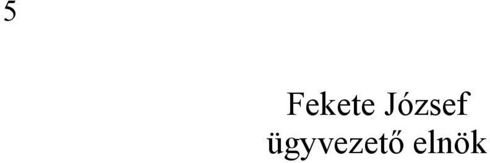 ügyvezető