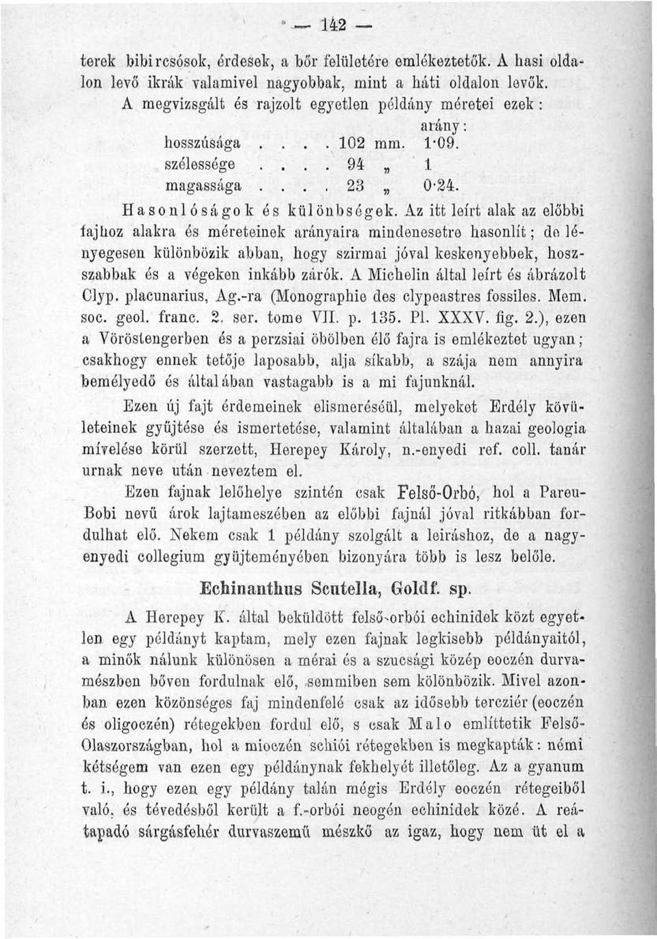 Az itt leírt alak az előbbi íajlioz alakra és méreteinek arányaira mindenesetre hasonlít; de lényegesen különbözik abban, hogy szirmai jóval keskenyebbek, hoszszabbak és a végeken inkább zárók.