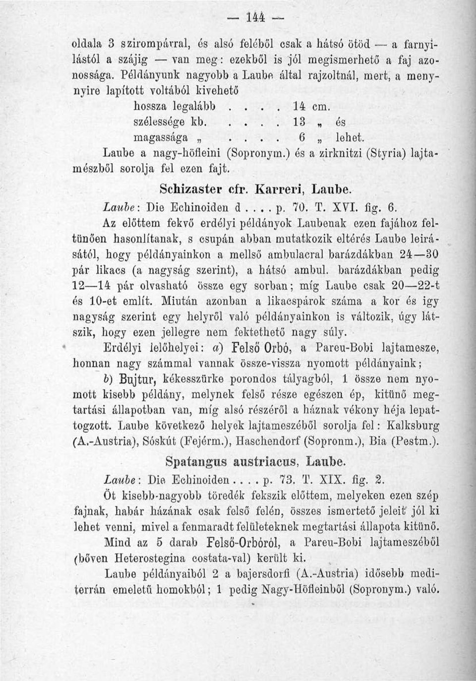 ) ós a zirknitzi (Styria) lajtamészből sorolja fel ezen fajt. Schizaster cfr. Karreri, Laube. Laube: Die Echinoiden d p. 70. T. XVI. fig. 6.