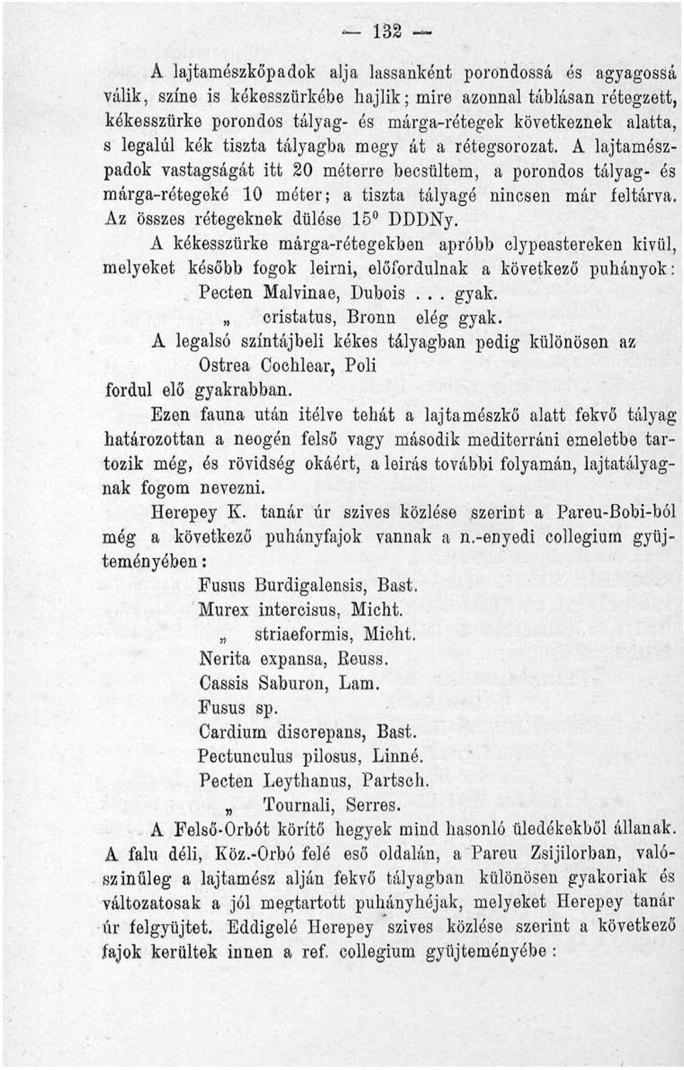 Az összes rétegeknek dülóse 15 DDDNy. A kékesszürke márga-rótegekben apróbb clypeastereken kivül, melyeket később fogok leirni, előfordulnak a következő puhányok: Pecten Malvinae, Dubois... gyak.