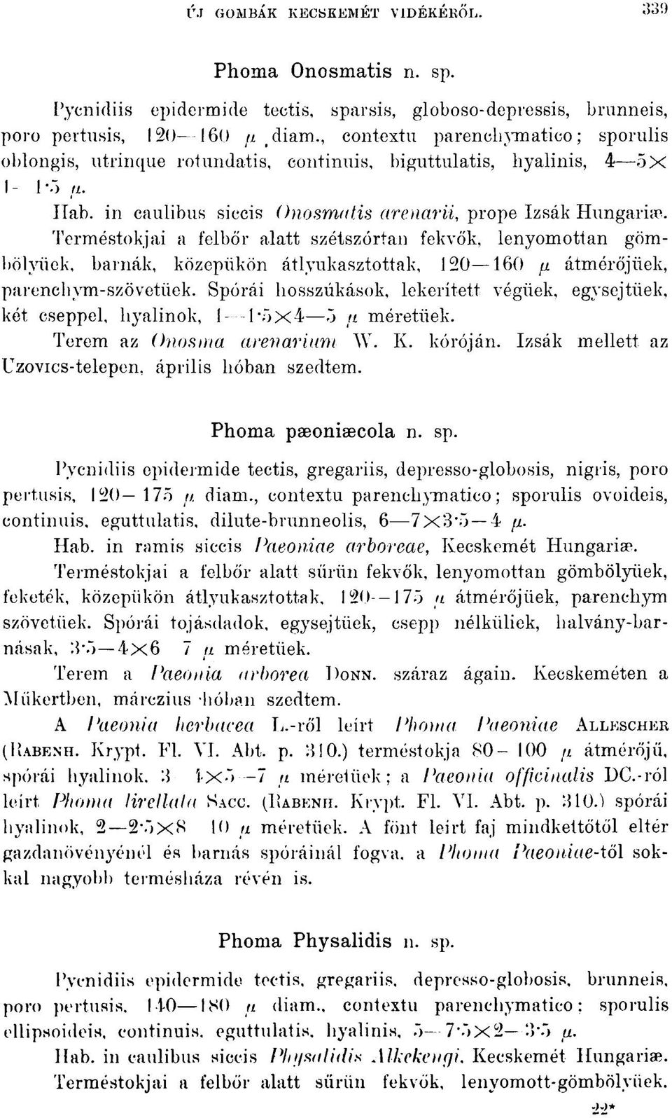 Terméstokjai a felbőr alatt szétszórtan fekvők, lenyomottan gömbölyűek, barnák, közepükön átlyukasztottak, 120 160 fi átmérőjűek, parenchym-szövetüek. Spórái hosszúkások.