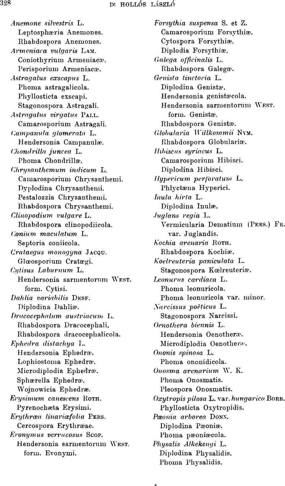 Phoma Chondrillae. Chrysanthemum indicum L. Camarosporium Chrysanthemi. Dyplodina Chrysanthemi. Pestalozzia Chrysanthemi. Rhabdospora Chrysanthemi. Clinopodium vulgare L. Rhabdospora clinopodiicola.