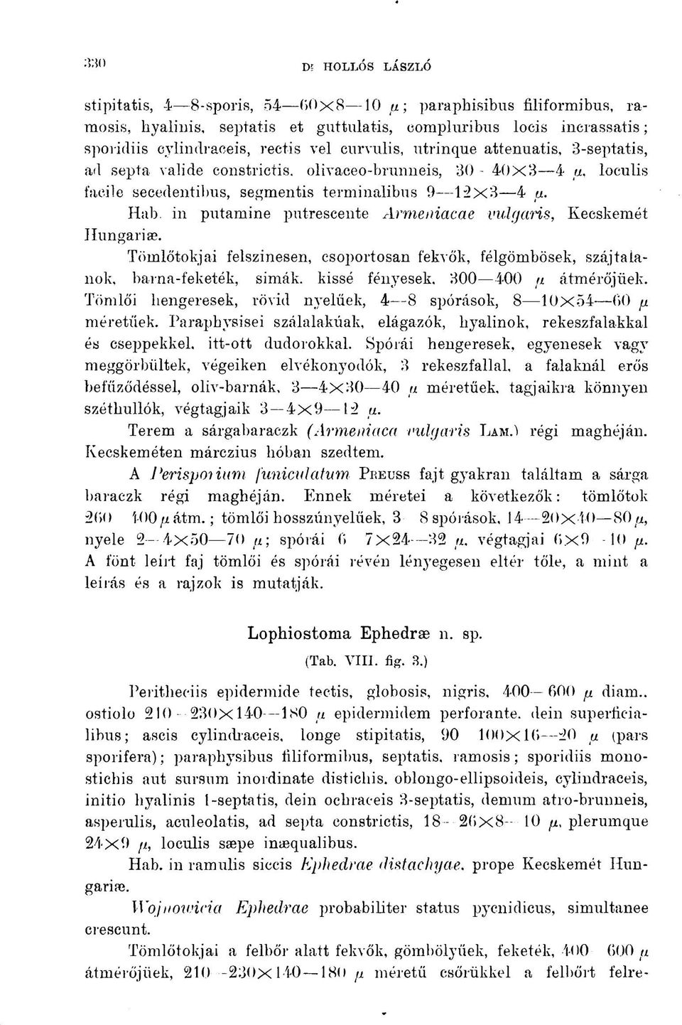 Hab in putamine putrescente Armeniacae vulgaris, Kecskemét Hungáriáé. Tömlőtokjai felszínesen, csoportosan fekvők, félgömbösek, száj taianok, barna-feketék, simák, kissé fényesek.