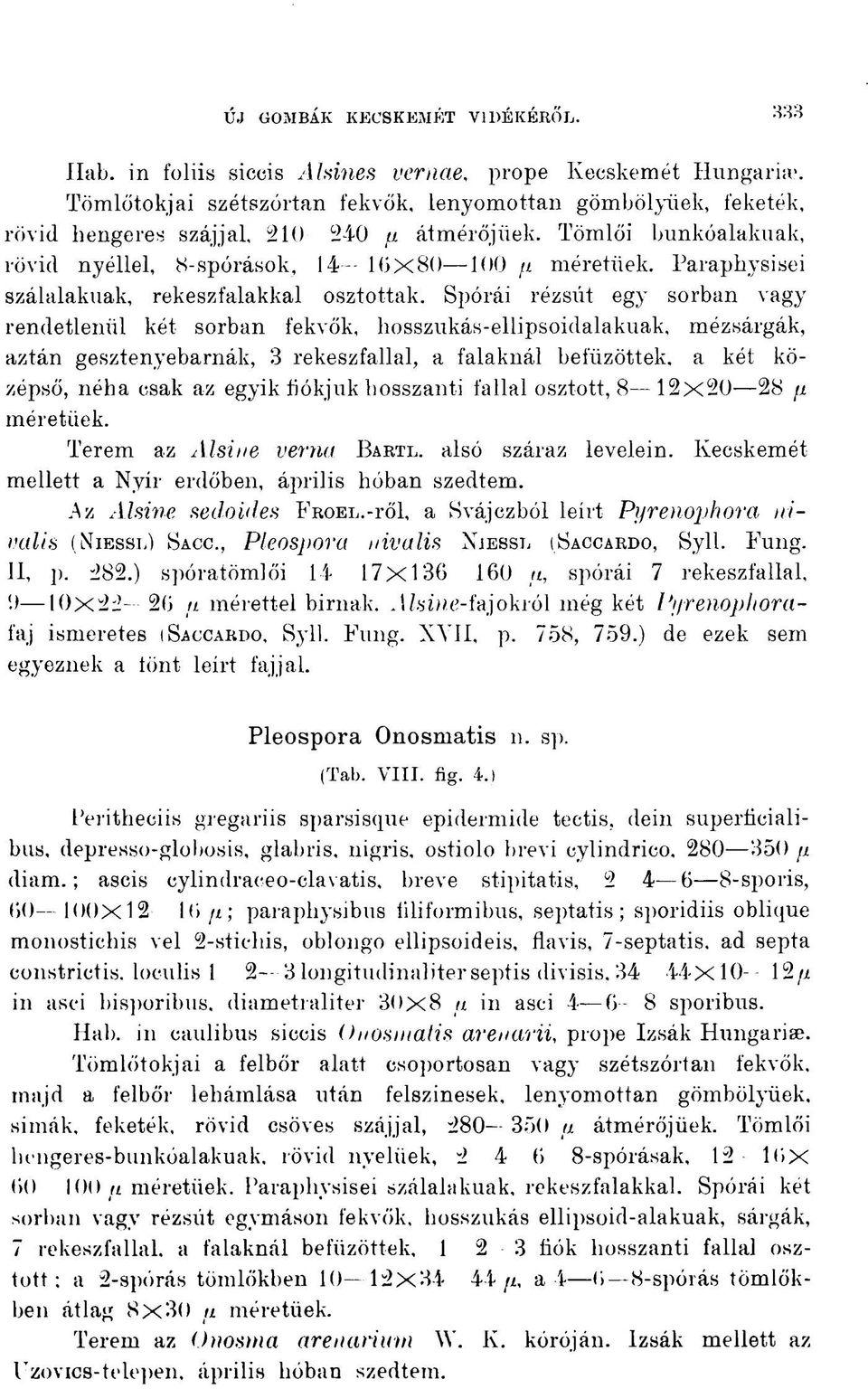 Paraphysisei szálalakuak, rekeszfalakkal osztottak.