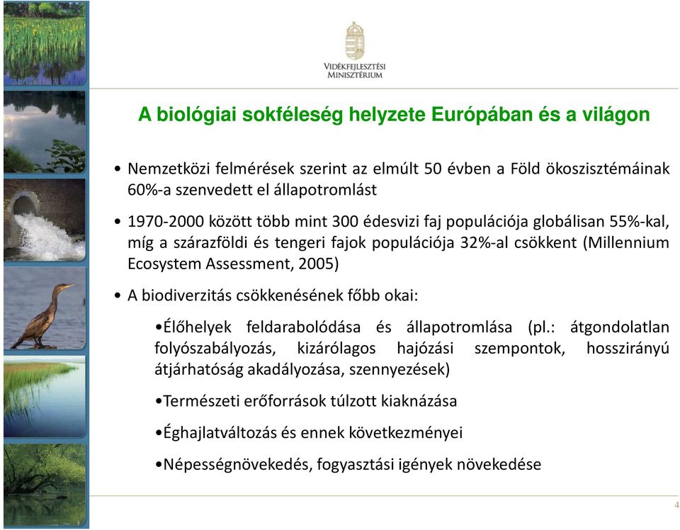 Assessment, 2005) A biodiverzitás csökkenésének főbb okai: Élőhelyek feldarabolódása és állapotromlása (pl.