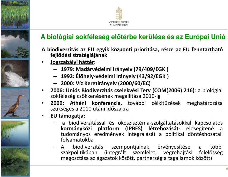 megállítása 2010-ig 2009: Athéni konferencia, további célkitűzések meghatározása szükséges a 2010 utáni időszakra EU támogatja: a biodiverzitással és ökoszisztéma-szolgáltatásokkal kapcsolatos