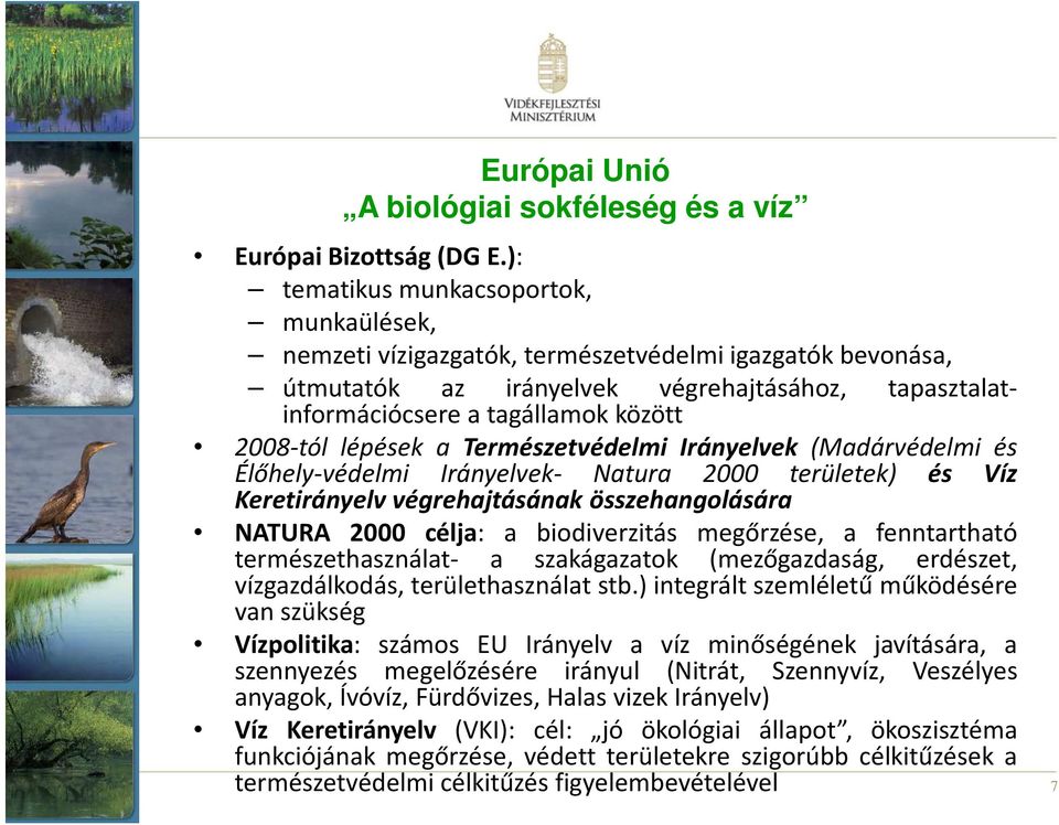 lépések a Természetvédelmi Irányelvek (Madárvédelmi és Élőhely-védelmi Irányelvek- Natura 2000 területek) és Víz Keretirányelv végrehajtásának összehangolására NATURA 2000 célja: a biodiverzitás