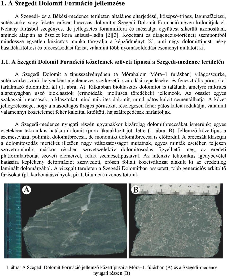 Kőzettani és diagenezis-történeti szempontból mindössze egyetlen kéziratos munka tárgyalja a képződményt [8], ami négy dolomittípust, négy hasadékkitöltési és breccsásodási fázist, valamint több