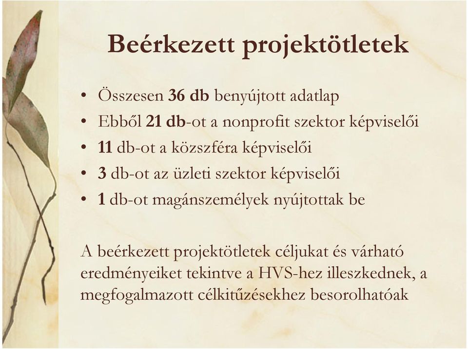 1 db-ot magánszemélyek nyújtottak be A beérkezett projektötletek céljukat és várható