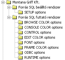 A Forrás-SQL környezet leíró bejegyzései: Megjegyzés: A telepítés során a Forrás-SQL konfigurációs bejegyzései a Windows rendszerinformációs adatbázisába kerülnek.