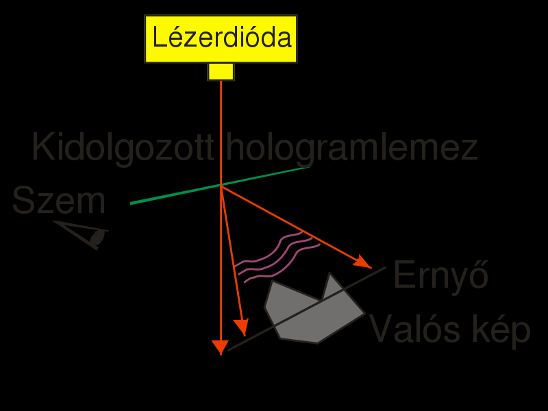 Két fő fajtája: Transzmissziós hologram Reflexiós hologram