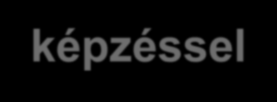 Miről lesz szó? 1. Alapfogalmak 2. Képzési program, mintatanterv 3. A képzés szabályai 4. Felkészülést támogató anyagok 5.