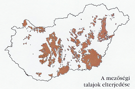 IV. CSERNOZJOM (MEZŐSÉGI) TLJOK Típusai: Mészlepedékes