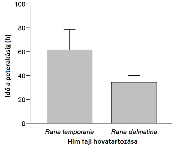 hímet végül leváltották-e az amplexusban (logisztikus regresszió: Wald χ 2 = 1,63; N = 29; P = 0,2).