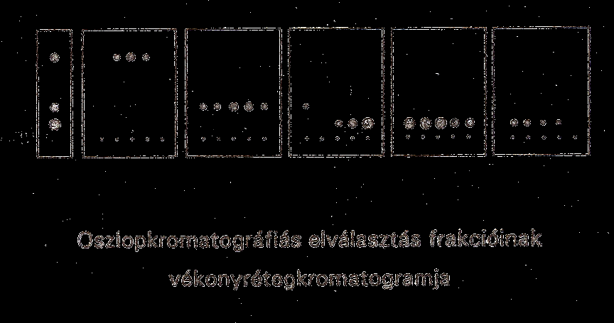 illetve a tárolóedény csapjával beállítjuk az elúció sebességét.