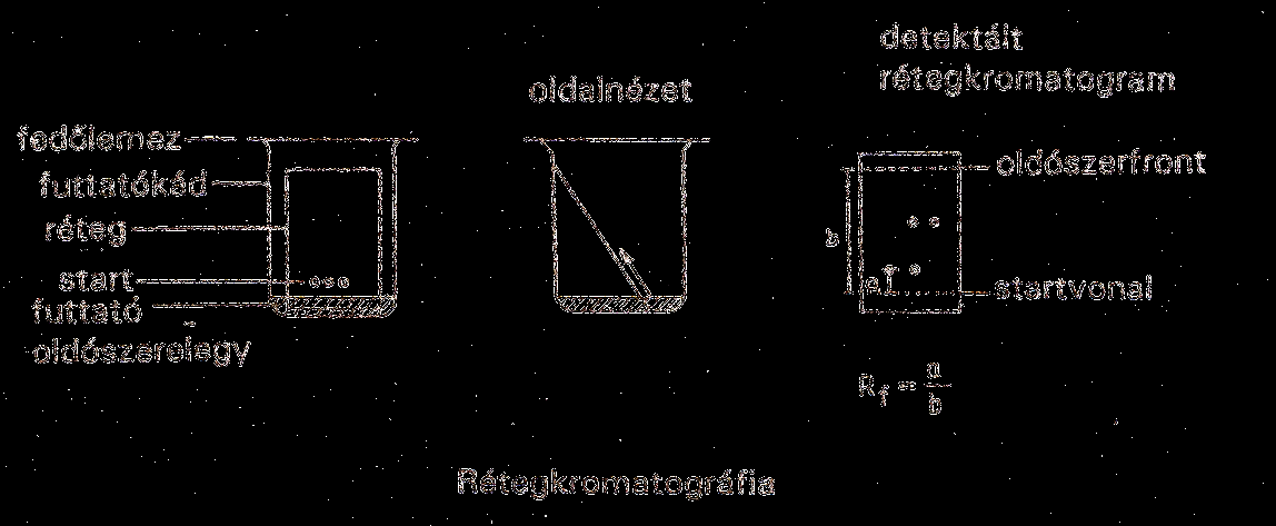 elegyei; savas vegyületekhez például kloroform-metanol-jégecet 100: 10: 1; bázikus vegyületekhez például kloroform-metanol-cc.ammónia 100: 10: 1 oldószerelegyek ajánlhatók.