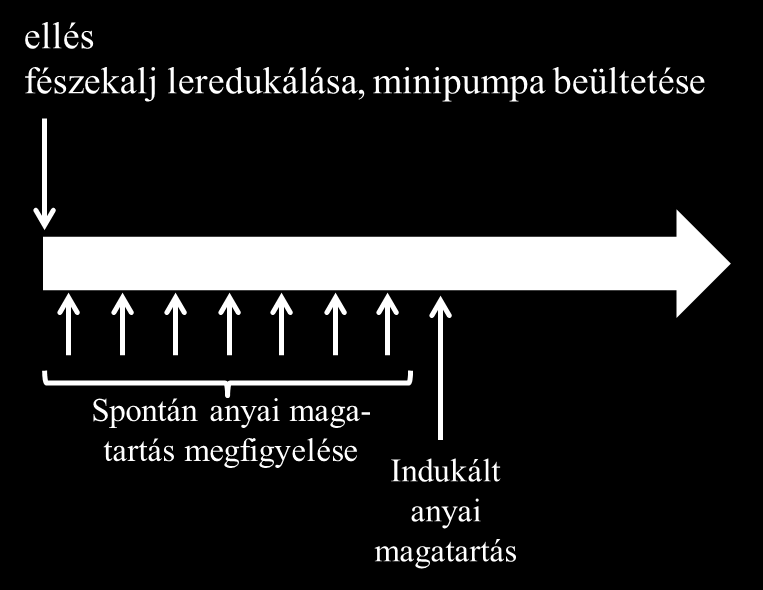 3.6. Kísérleti elrendezés 1.