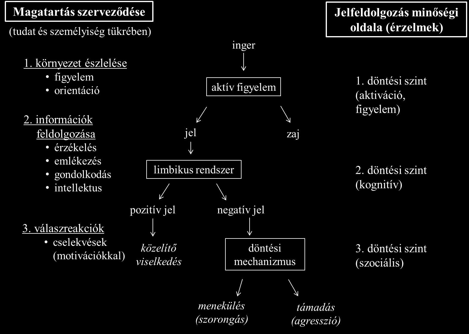 1. Irodalmi háttér 1.1. Bevezetés A pszichiátria az emberi magatartás elsődleges vagy következményes zavaraival és ezek gyógykezelésével foglalkozó ága az orvostudománynak.