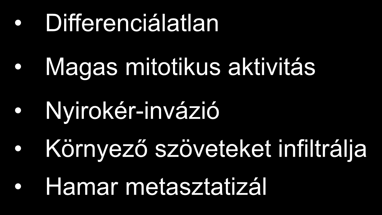 Anaplasticus rák Differenciálatlan Magas mitotikus aktivitás