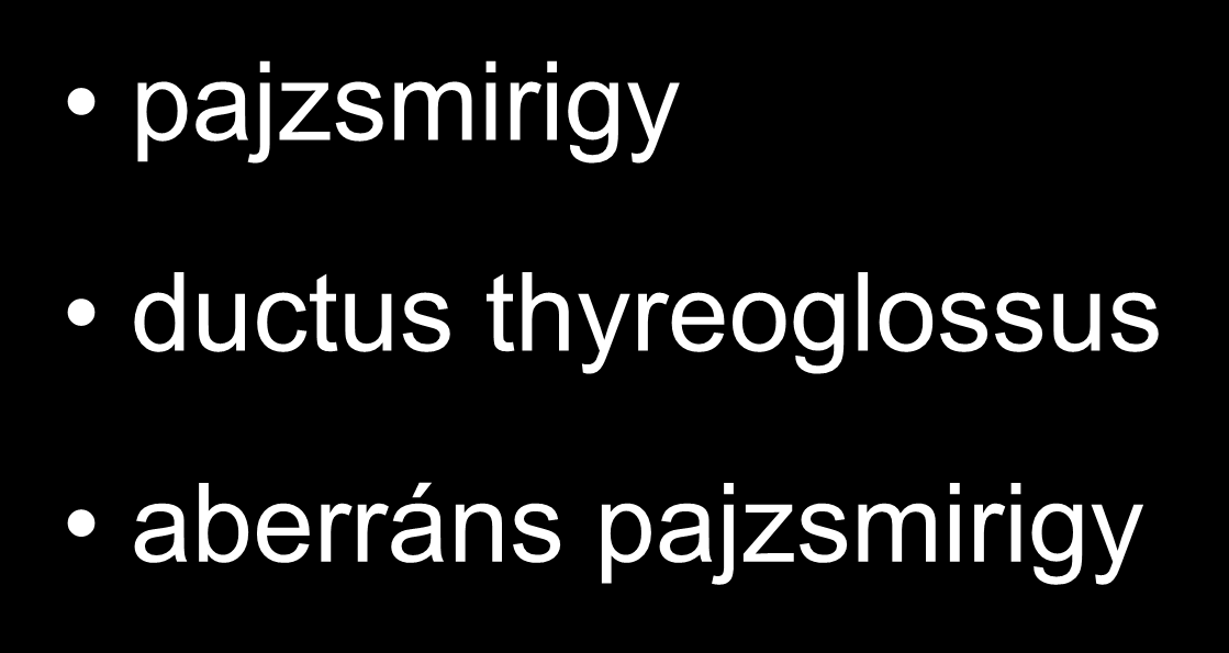 Kiindulási hely pajzsmirigy ductus