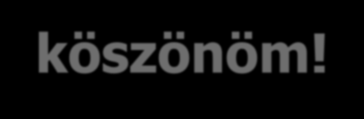 Megtisztelő figyelmüket köszönöm!