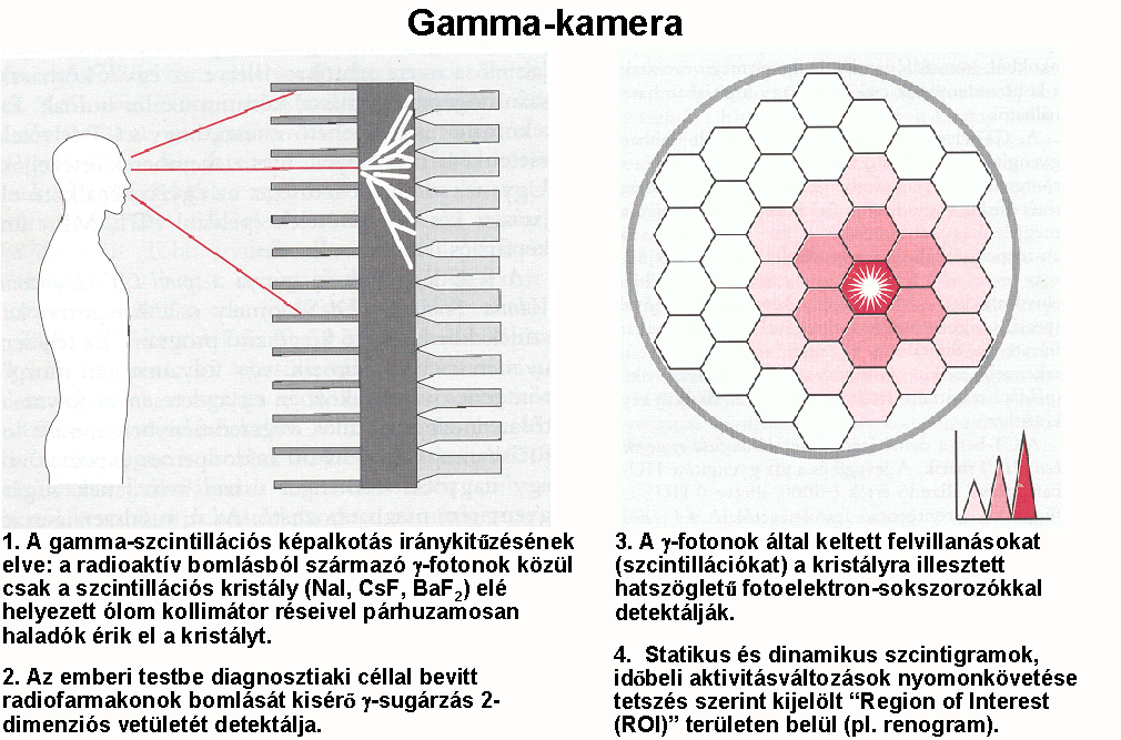 5. 2D képalkotás.