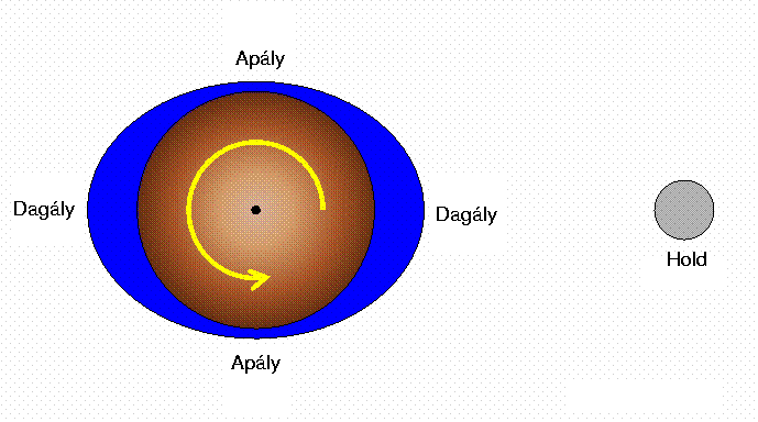 Az árapály-erők hatásai 1. árapály amplitúdója: ~1 m az óceánon, ~20 cm a szárazföldön Nap és Hold együttesen határozza meg: földrajzi viszonyok miatt nagy helyi eltérések: pl.