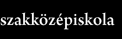 12. ábra: Érettségi bizonyítvány megszerzésének típusa Már a megkérdezettek születési évéből is lehet következtetni arra, hogy mely évben a legnagyobb az érettségizett első éves hallgatók aránya.