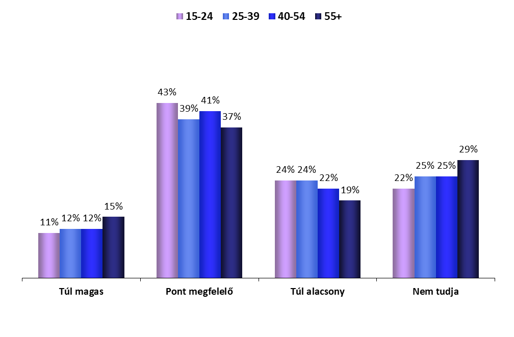 Korosztály csoportok AZ EURÓPAI UNIÓ KÖLTSÉGVETÉSE ELEMZÉS KOR SZERINT 1.