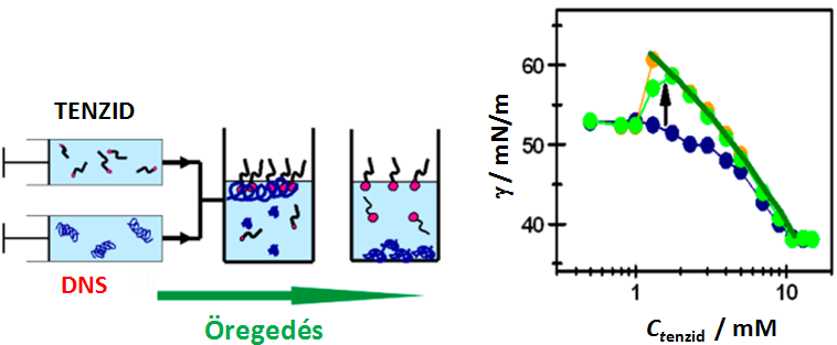 A felületi feszültség csúcs kvantitatív jóslására kidolgozott modell összefoglaló ábrája Eredményeim alapján kidolgoztam egy modellt, ami lehetővé teszi a polielektrolit/tenzid rendszer tömbfázisbeli