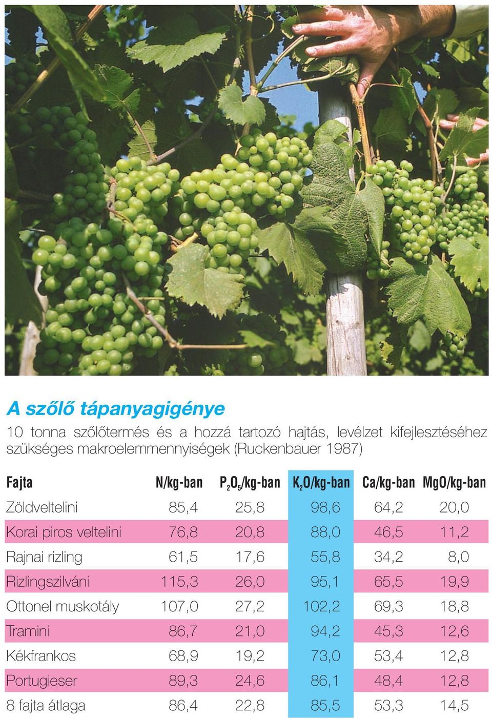 88,0 46,5 11,2 Rajnai rizling 61,5 17,6 55,8 34,2 8,0 Rizlingszilváni 115,3 26,0 95,1 65,5 19,9 Ottonel muskotály 107,0 27,2 102,2 69,3 18,8