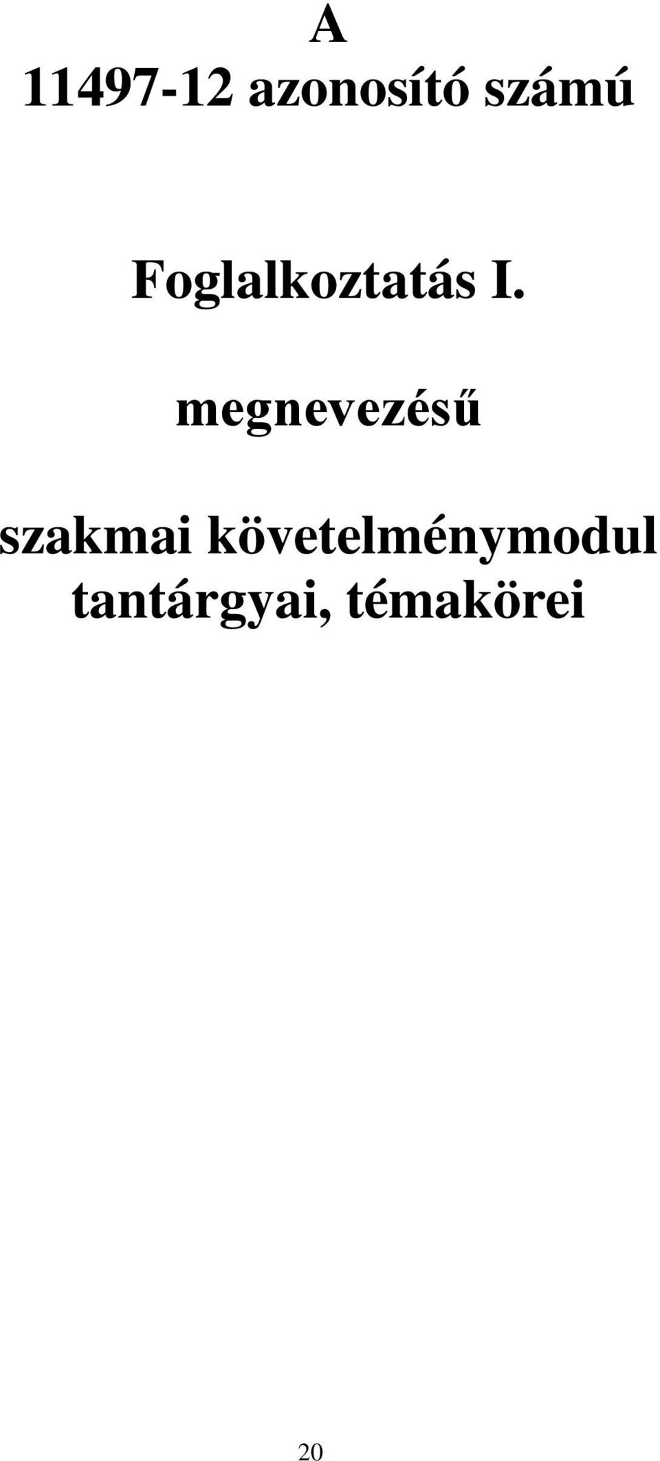 megnevezésű szakmai