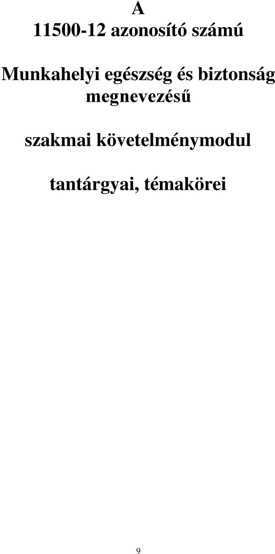 biztonság megnevezésű szakmai