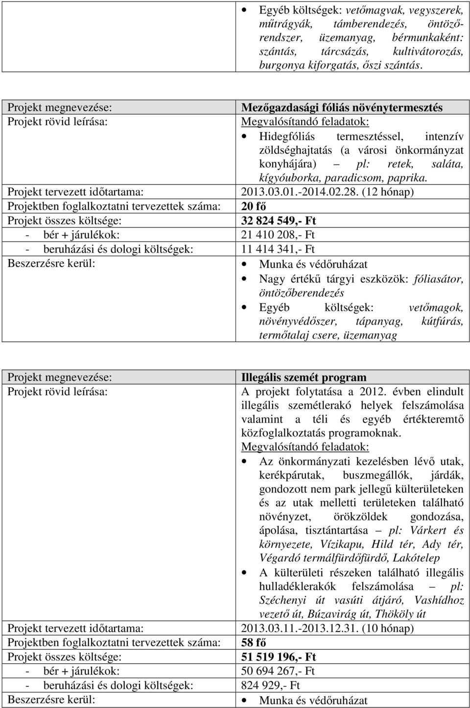 28. (12 hónap) Projektben foglalkoztatni tervezettek száma: 20 fı 32 824 549,- Ft - bér + járulékok: 21 410 208,- Ft - beruházási és dologi költségek: 11 414 341,- Ft Nagy értékő tárgyi eszközök: