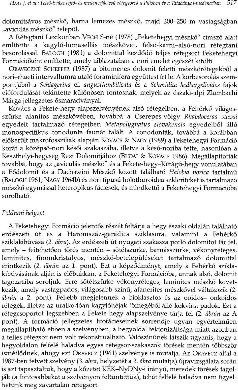 A Rétegtani Lexikonban VÉGH S-né (1978) Feketehegyi mészkő" címszó alatt említette a kagyló-lumasellás mészkövet, felső-karni-alsó-nori rétegtani besorolással.