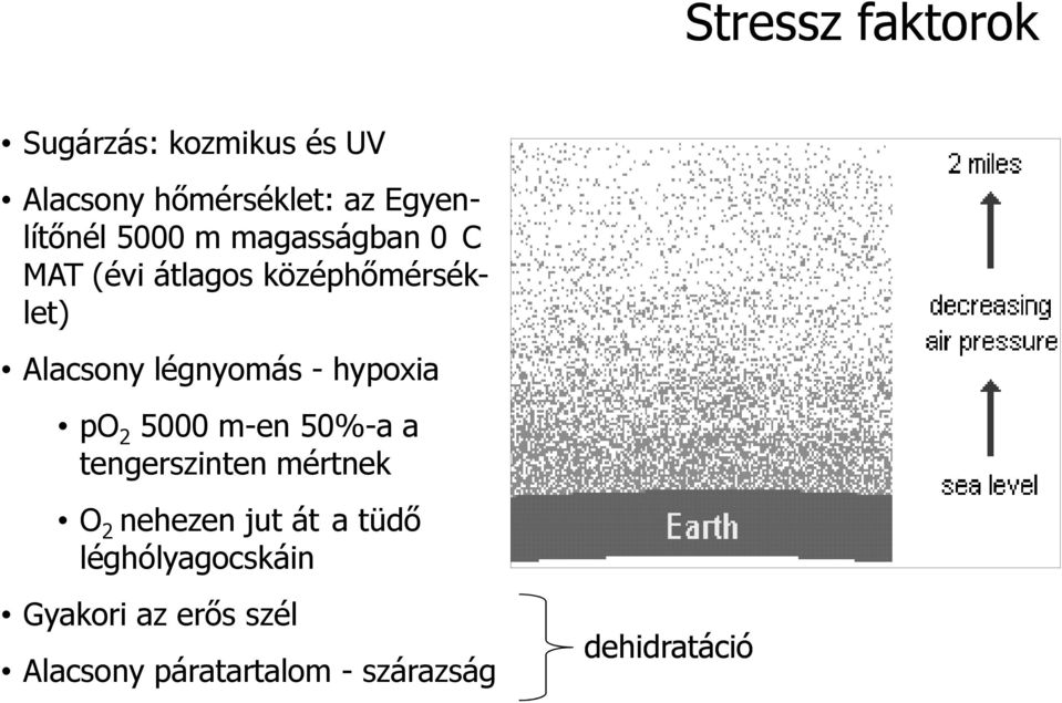 hypoxia po 2 5000 m-en 50%-a a tengerszinten mértnek O 2 nehezen jut át a tüdı