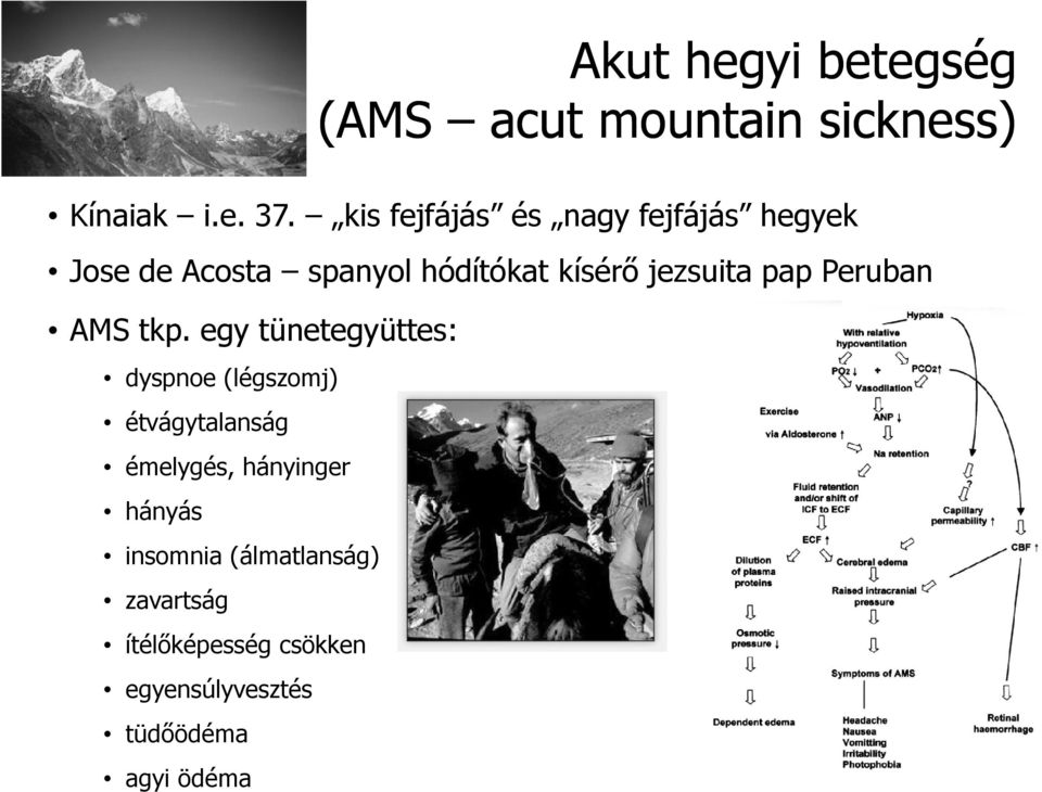 pap Peruban AMS tkp.