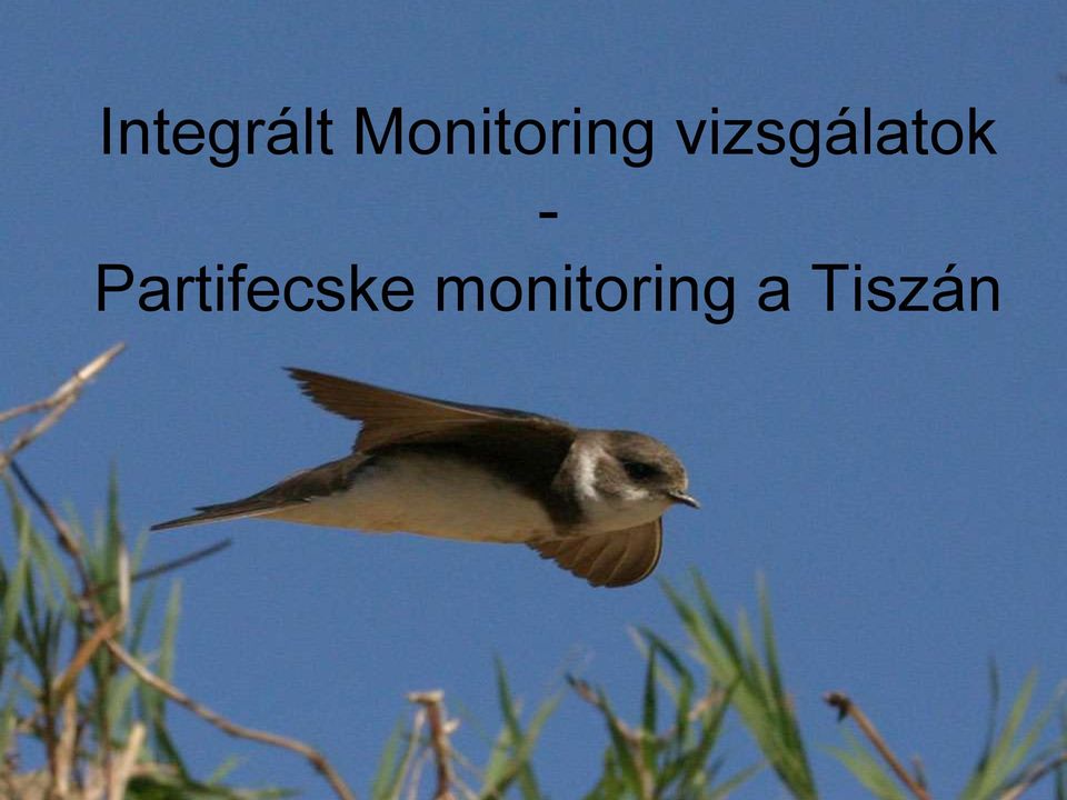 vizsgálatok -