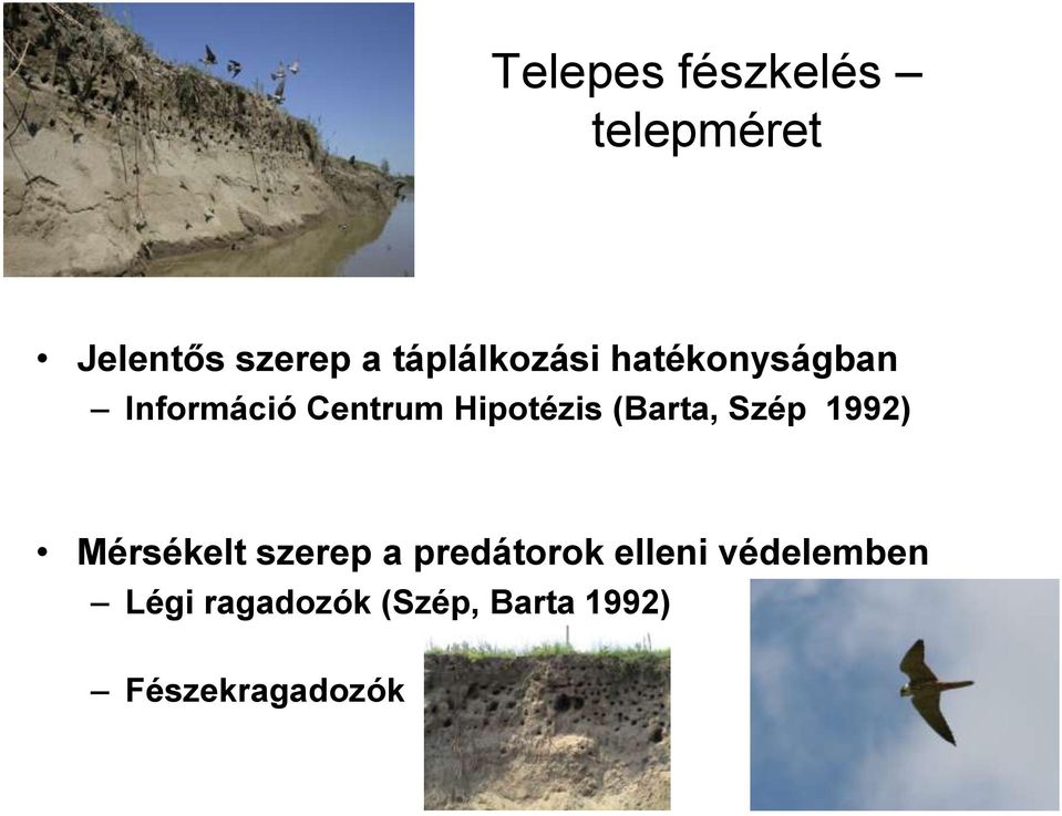 Hipotézis (Barta, Szép 1992) Mérsékelt szerep a