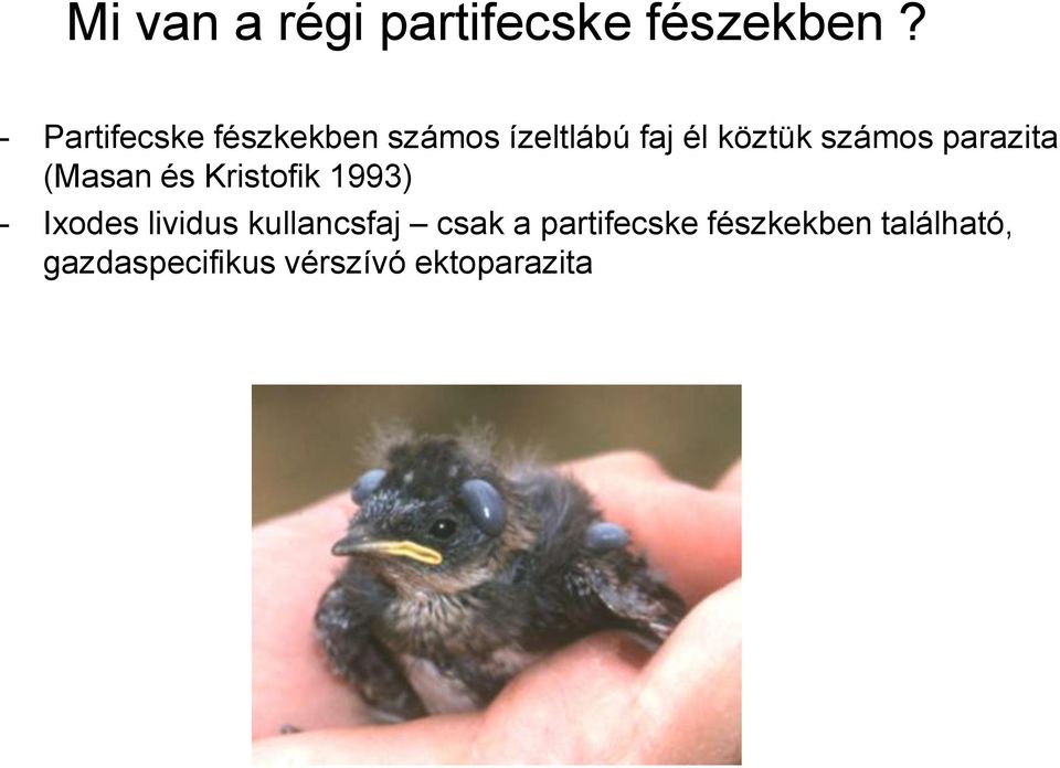 számos parazita (Masan és Kristofik 1993) - Ixodes lividus