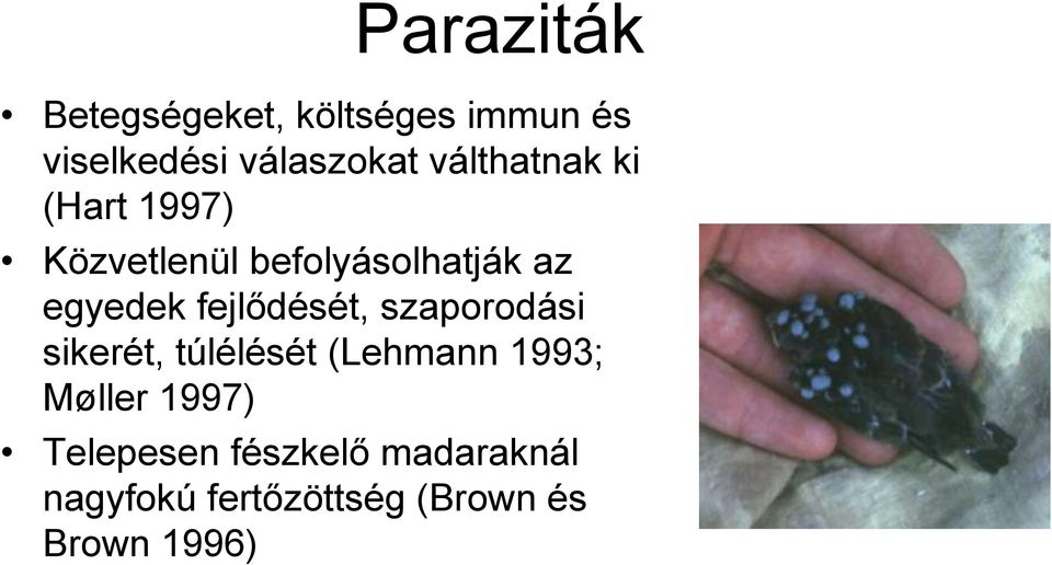 fejlődését, szaporodási sikerét, túlélését (Lehmann 1993; Møller