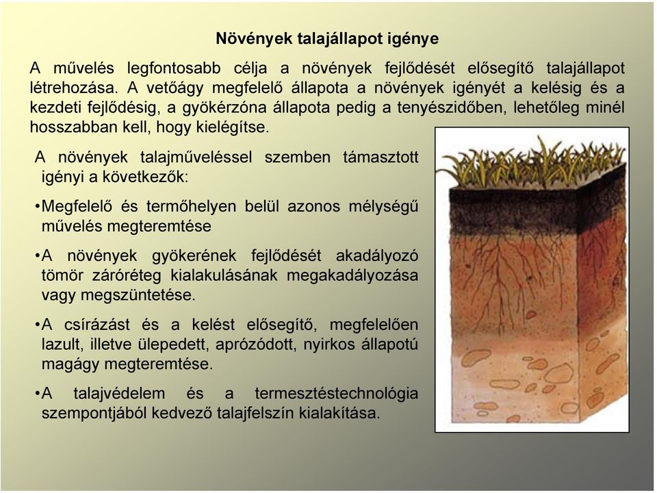 A növények talajműveléssel szemben támasztott igényi a következők: Megfelelő és termőhelyen belül azonos mélységű művelés megteremtése A növények gyökerének fejlődését akadályozó tömör